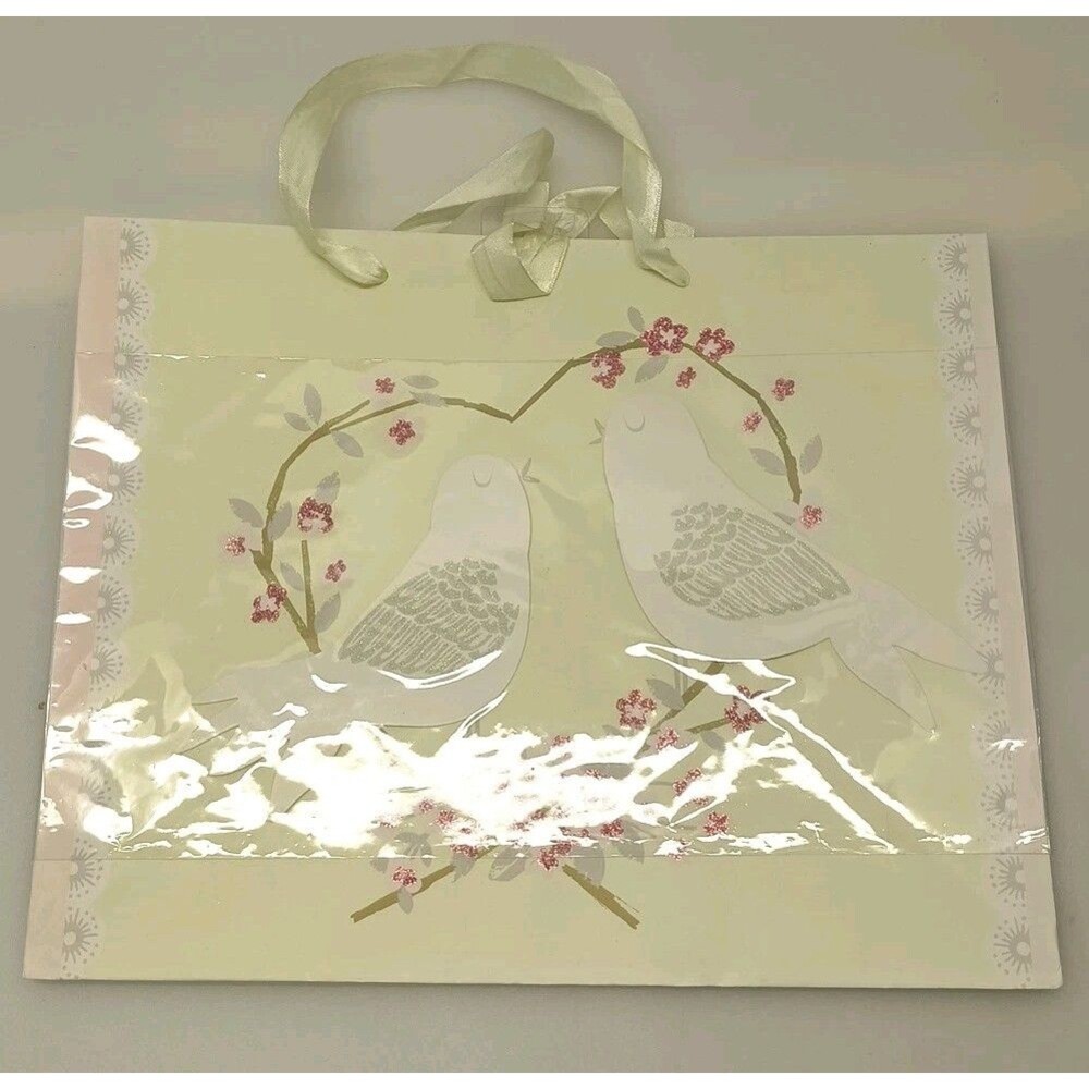 American Greetings Valentine Themed Gift Bag With Handle